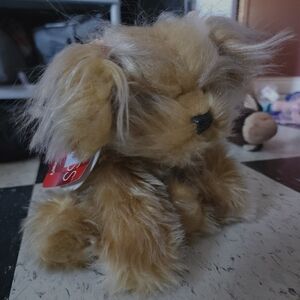 Russ Yorkshire Terrier Sparkle Gilda's Club